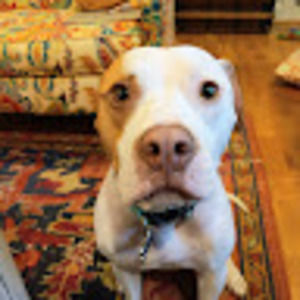 Meet your Posher, Miriam